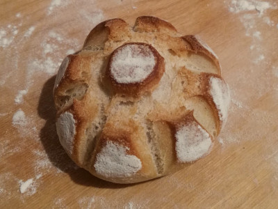 Pane 5
