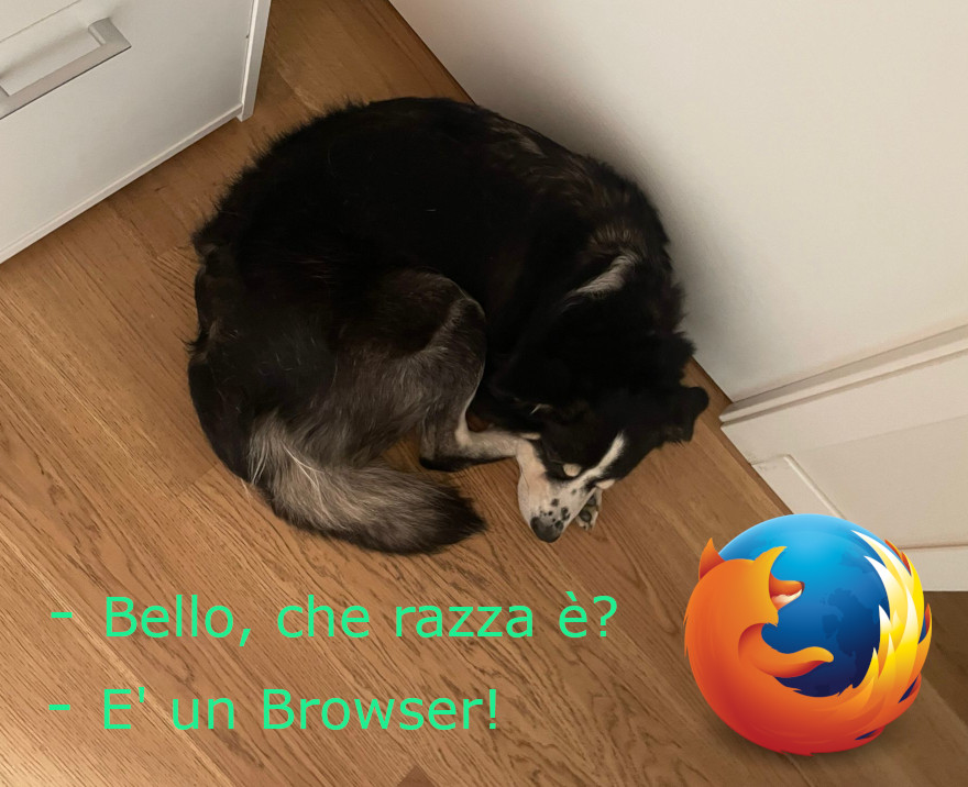 Cane browser